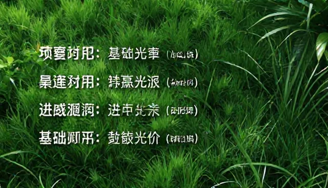 提升AI应用效率的基础提示词包使用指南