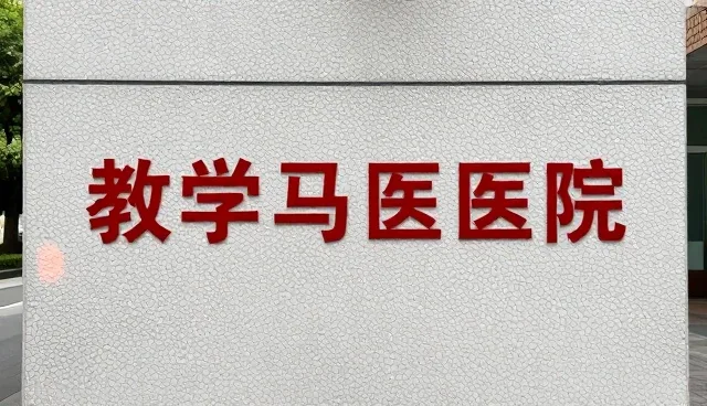 基础提示词包如何影响分类目录的使用效率